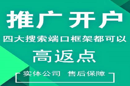 百度SEO推广策略：如何快速提升网站排名？——案例详解